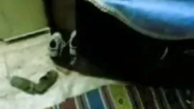 শিক্ষকের পোষা, মোনা  ...