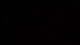 ফ্যান জারজ সন্তান হি ...