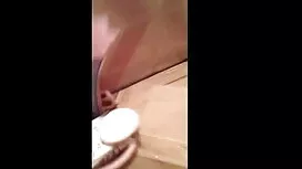 স্টুডিও গাম একটি দর্ ...