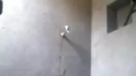 বড়ো মাই, ঝরনা, কালো ...