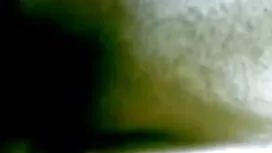 পাইপার ক্রোধে বিএফ স ...