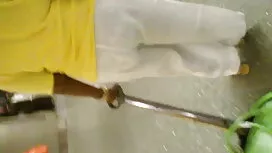 পর্নোতারকা, শ্যামাঙ্ ...