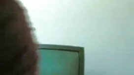ওয়াক্স ক্যাট লোকাল  ...