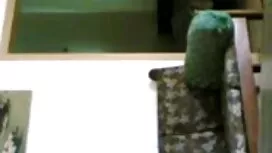 বড়ো বুকের মেয়ের বে ...