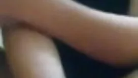 শৃঙ্খলাবদ্ধ তের পার্ ...