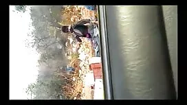 ভারি ধাতু, বেঙ্গলি স ...
