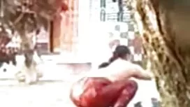 ডেমো-গোলাপী বাংলা সে ...