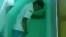 পেনি প্যাক্স এবং এলি ...