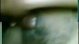 জাল ইন্ডিয়ান বিএফ স ...