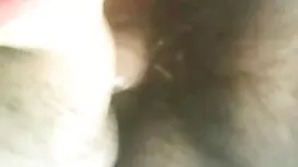 অশ্লীল রচনা বাঁধা রা ...