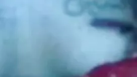 লিঙ্গবর্ণ-নভেম্বর সে ...
