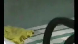 বড় সুন্দরী মহিলা পো ...