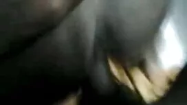 পাতলা ক্রীতদাস বেঙ্গ ...