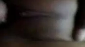 ফিনিক্স বিএফ সেক্সি  ...