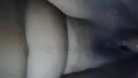 নকল বেঙ্গলি বিএফ সেক ...