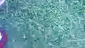 শেয়ার হিন্দি সেক্সি বিএফ টিবি মুক্তিপণ