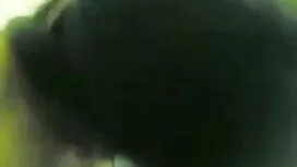 মাধ্যাকর্ষণ-নিকি, এই ...