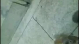 উপপত্নী মিরান্ডার-গ্ ...