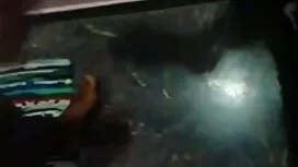 বিপথগামী শয়তান তবক  ...