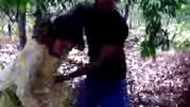 ইন্ডিয়া সামার বিএফ  ...