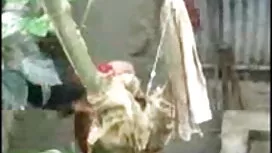 মহিলাদের অন্তর্বাস স ...