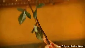 Painvixens-13 অক্টোব ...
