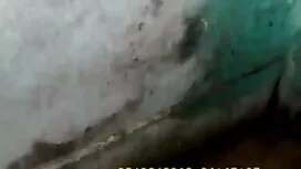 বাঁড়ার এইচডি বিএফ স ...