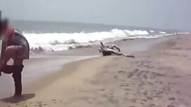 নিকৃষ্ট অংশ হট সেক্স ...