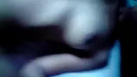 উইলিয়াম এবং পার্টি  ...