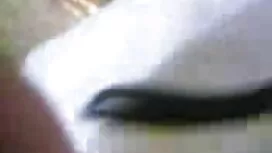 অতিক্রম আউট-কোরআন তে ...