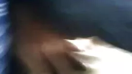 ইস্পাত ড্রাম নির্যাত ...