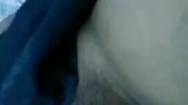 সারাহ শেভন লোকাল সেক ...