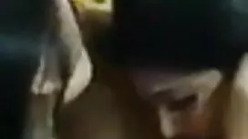 পেতিতে আগন্তুক প্রথম ...